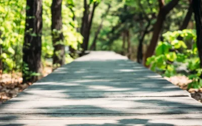 March 3 – THIS IS WHERE I AM!